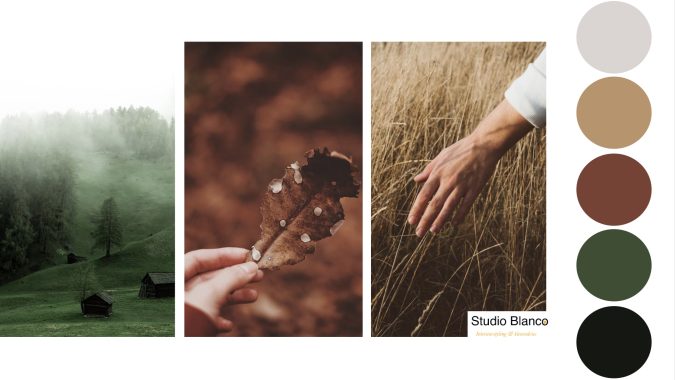 welke kleur kiezen kleuradvies interieur Groningen